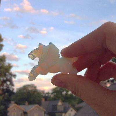 亚虎娱乐手机app下载